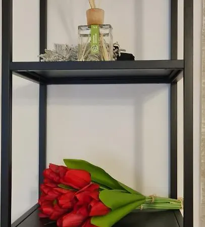 Appartamento Di Paola Via Crisanzio Bari